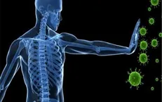 با این ۱۰ خوراکی سیستم ایمنی بدن را افزایش دهید