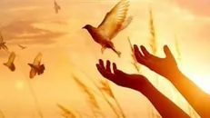 گذشت اولیاء دم از قصاص قاتل فرزند خود در پویش به عشق امام حسین می‌بخشم