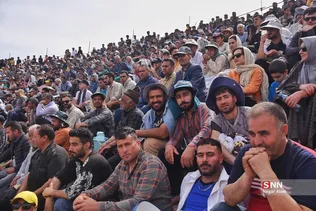 نی