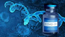 جزئیات تولید واکسن ایرانی «mRNA» علیه کرونا