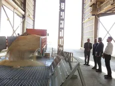خرید تضمینی ۹۶ هزار تن گندم مازاد بر نیاز کشاورزان خراسان شمالی