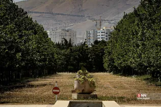 باغ گیاه شناسی ملی ایران در اوج طراوت بهاری