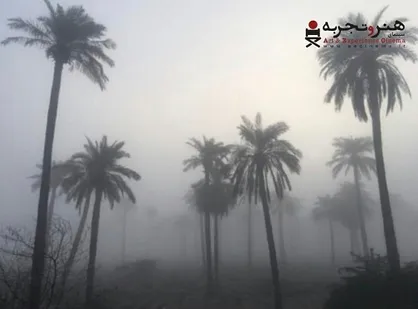 مستند &laquo;سینه&zwnj;ما رکس&raquo; به اکران هنروتجربه پیوست