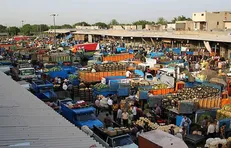 ممانعت دلالان از ورود سیب و مرکبات به بازار میوه