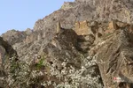 روستای شاهاندشت