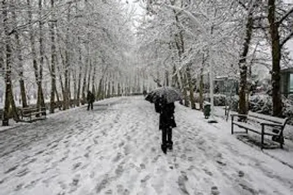 برف و باران در مناطقی از کشور/خلیج فارس مواج است