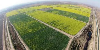 اولین رویداد تخصصی کشاورزی &laquo;فلاحت احسان&raquo; در استان خوزستان برگزار می&zwnj;شود
