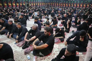 دبب