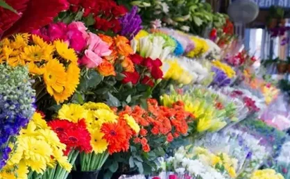 فرار مالیاتی ۳۰۰۰ دلال مجازی گل&zwnj;فروش در تهران