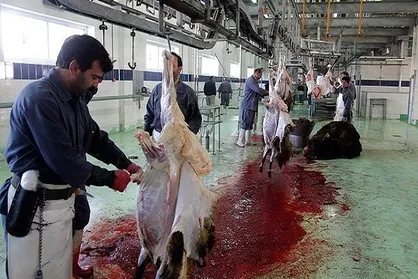 کارگران کشتارگاه بجنورد در آستانه بیکاری/ جنبش دانشجویی پیگیر مطالبات این قشر خواهد بود