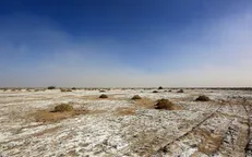 مردم جنوب استان کرمان رییس سازمان محیط زیست را برای بازدید از تالاب جازموریان دعوت کردند