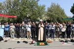 دانشگاه تهران