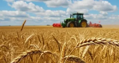 واریز جدید مطالبه&zwnj; گندم&zwnj;كاران تا ۲۰ خرداد ۱۴۰۵