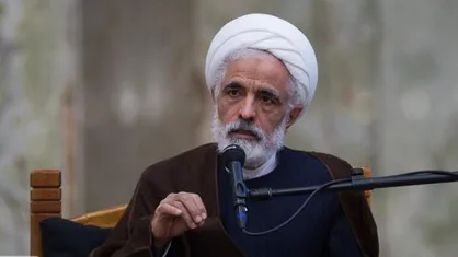انصاری رای خود را به صندوق انداخت