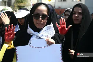 دبب
