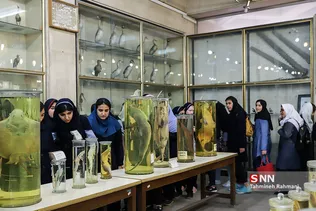 روزی با دانشگاه تهران