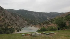 طبیعت زاگرس را دریابید! بی‌تفاوتی خطری بزرگ‌تر از خشکسالی است