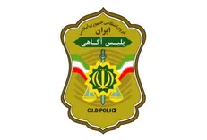 پلمب ۸ دفتر شرکت هرمی در سال جاری