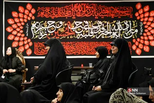 دبب