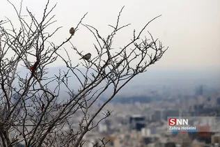 هوای پاک تهران