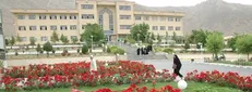 «دانشجوی طلایی»؛ طرحی که دانشجویان را توانمند می‌کند/ دانشگاه آزاد ملایر به دنبال تحقق دانشگاه نسل سوم
