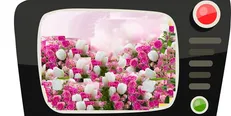 سریال‌های نوروزی تلویزیون کدامند؟ +ساعت پخش