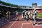 دبب