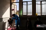 بب