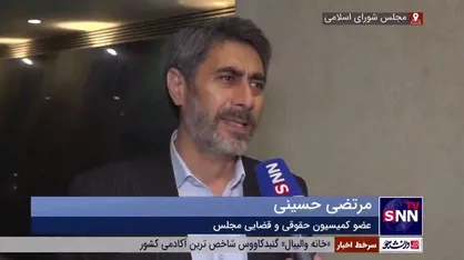 حسینی: تصویب لایحه حجاب و عفاف در کمیسیون، سطح پذیرش جامعه را پایین می&zwnj;آورد