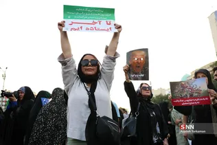 دبب