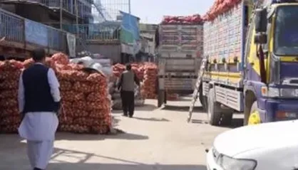 طالبان صادرات پیاز به خارج از افغانستان را ممنوع کرد