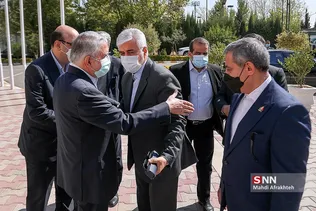 شسبز