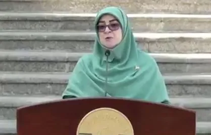 واگذاری اختیارات به استانداران همچنان در حال بررسی است
