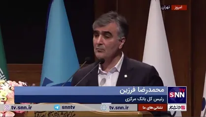 فرزین: در حوزه نظارت در بانکداری مرکزی دچار مشکل هستیم/ باید گردش ارز و پول را رصد کنیم