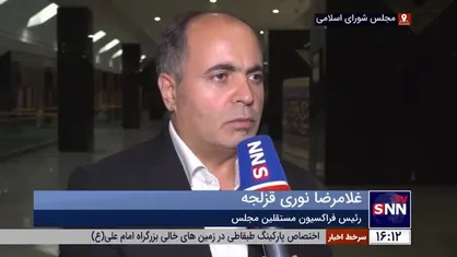 نوری: لایحه حجاب و عفاف را به پستو بردند/ این لایحه نباید شامل اصل 85 می&zwnj;شد