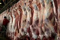 اولین مورد ابتلای انسانی به تب کریمه‌کنگو در کرمانشاه مشاهده شد