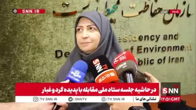 توضیحات رئیس سازمان حفاظت محیط زیست درباره منشا گرد و غبار و آلگودگی این روزهای تهران