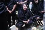 دبب