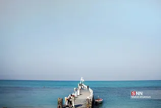 صثفصل