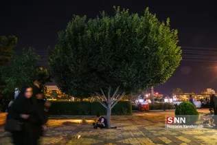 شب19 رمضون