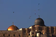 همایش 