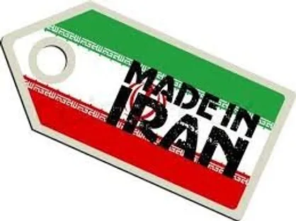 دولت وظایفش در خصوص شعار سال را انجام نداد/ منفعل بودن دستگاه دیپلماسی در حمایت از تولیدات ایرانی