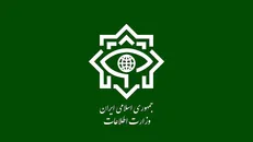 وزارت اطلاعات: ۴ شبکه خرابکاری خیابانی منهدم شدند