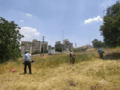 آغاز علف‌تراشی ۱۸۰ هکتار از پارک‌های جنگلی سنندج برای پیشگیری از آتش‌سوزی