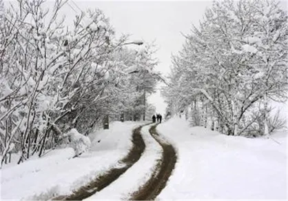 آغاز برف و باران در نقاط غربی کشور