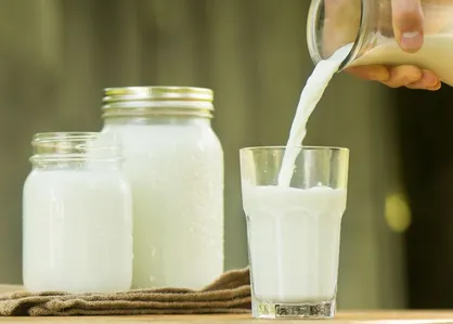 تولید کپسول دارو از شیر گاو