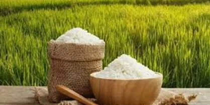 دلایل افزایش ۳۸ درصدی قیمت برنج ایرانی / گرانی ۳۰ تا ۹۰ درصدی برخی اقلام خوراکی طی ۵ ماه