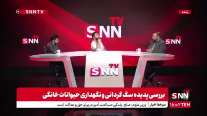شگرد برخی حامی نماهای حیوانات برای دریافت پول از مردم