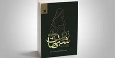 بررسی جایگاه زن در نهج‌البلاغه آگاهی گسترده از قضایای تاریخی و اجتماعی زمان امیرالمومنین (ع) را می‌خواهد