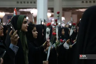 دبب